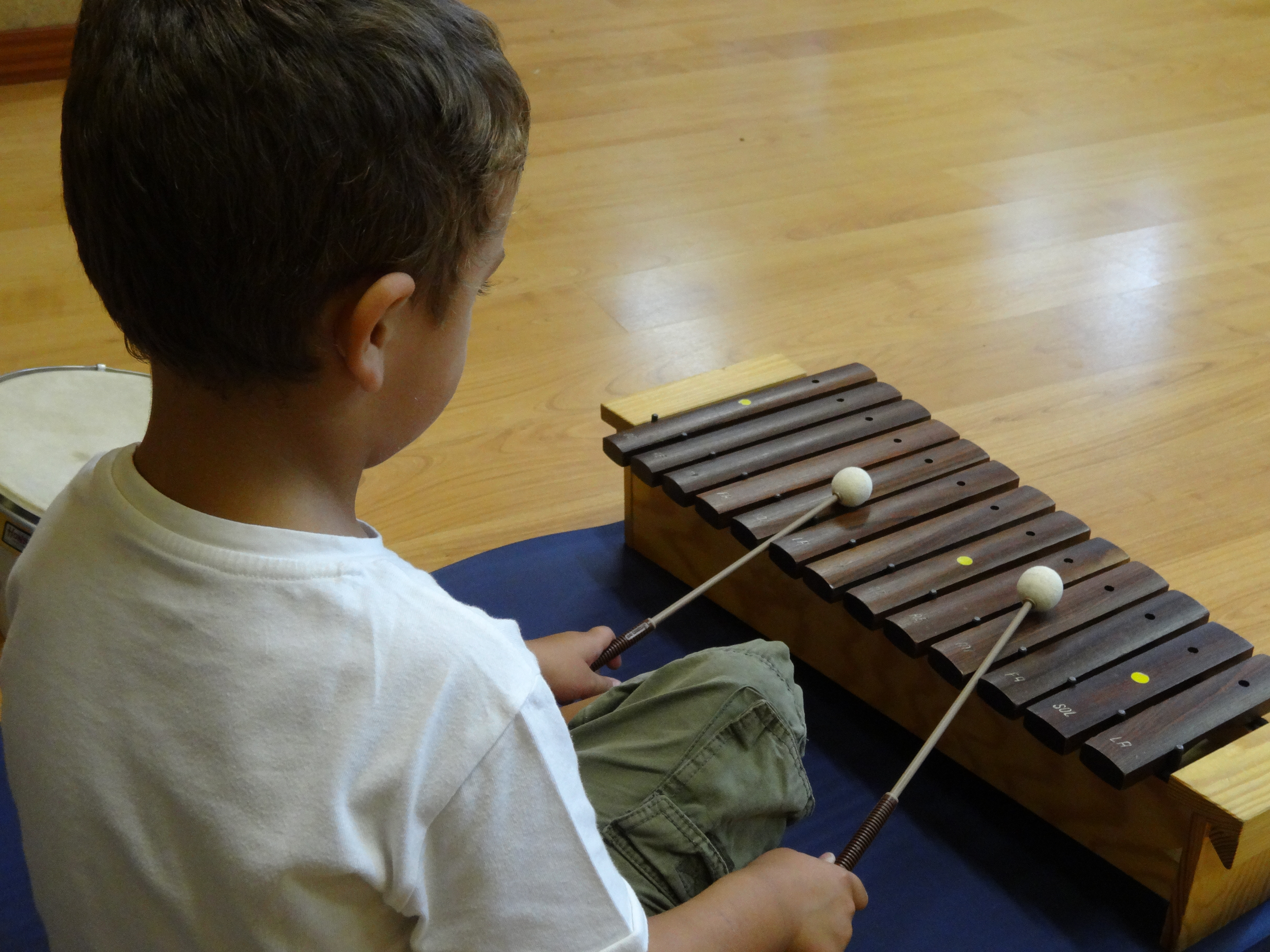 MUSICOTERAPIA FOTO AL LADO DEL TEXTO